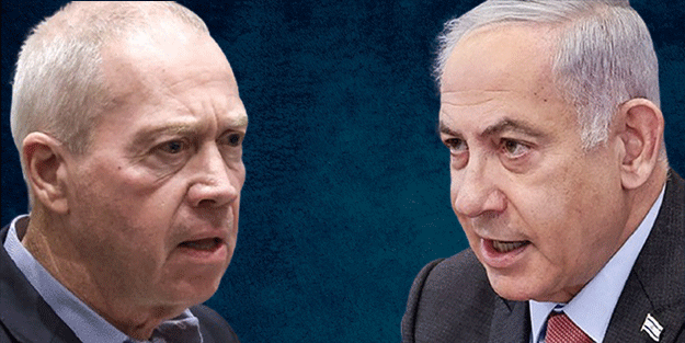 Soysuz köpekler birbirlerine küstü