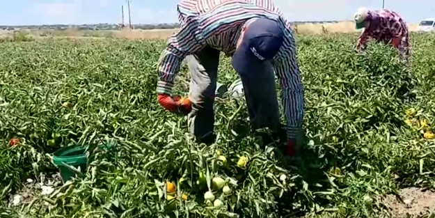 Sözcü'nün ikiyüzlülüğü 'pes' dedirtti!