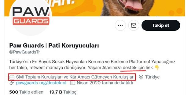 Sözde 'hayvansever'ler dolandırıcılıktan sabıkalı çıktı! MASAK göreve