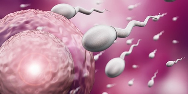 Sperm iltihabının sebepleri nelerdir?