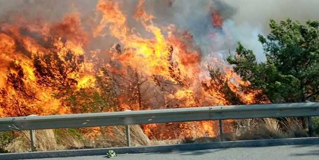 Spor federasyonlarından Hatay'a destek