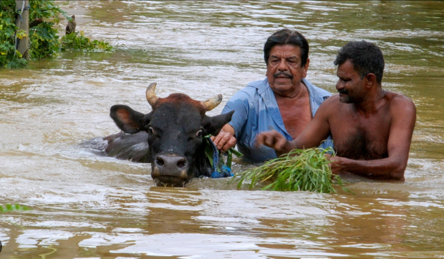 Sri Lanka’da can kaybı 193’e yükseldi