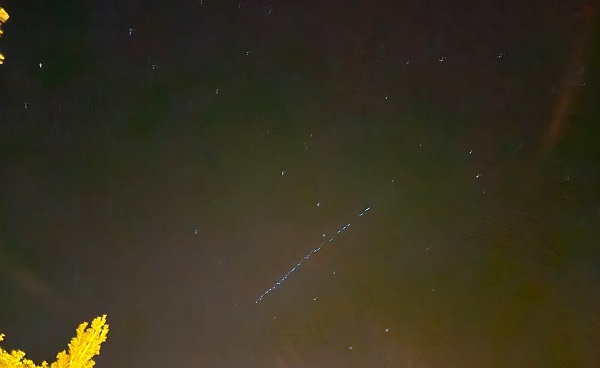 Starlink uyduları Türkiye semalarında