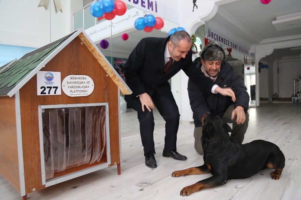 STK’lardan örnek davranış 
