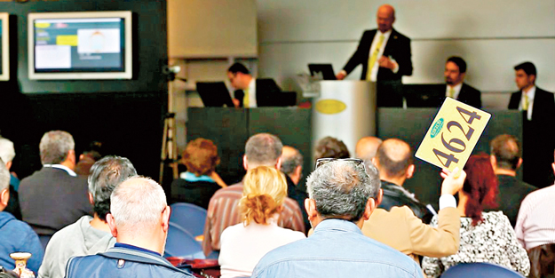 Stoklara açık artırma formülü