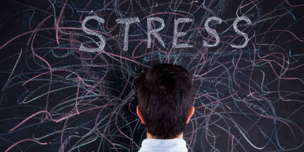 Stres azaltan bitkisel yağlar nelerdir? 50 yaşında bile kullanılıyor! İşte eşsiz...