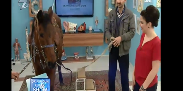 Stüdyoda ‘AT’lı pastırma tarifi/ VİDEO