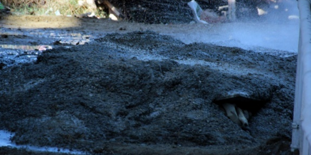 Su ararken bakın ne buldular