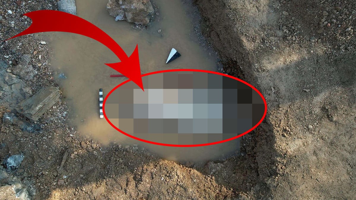 Su birikintisinde bulundu! Bir ayağı kesik! Böylesi ilk kez yaşanıyor! Yetkililer apar topar harekete geçti