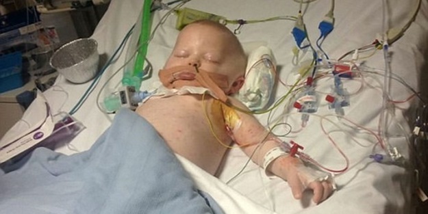 Su çiçeği sandılar ama...