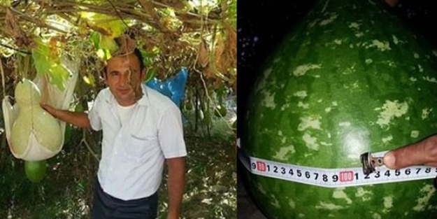 Su kabağı hayatını değiştirdi