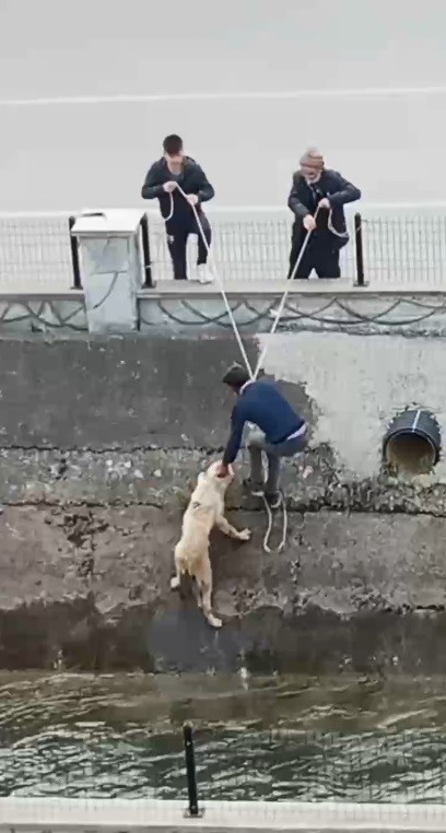 Su kanalına düşen köpeği itfaiye erleri gibi kurtardılar 