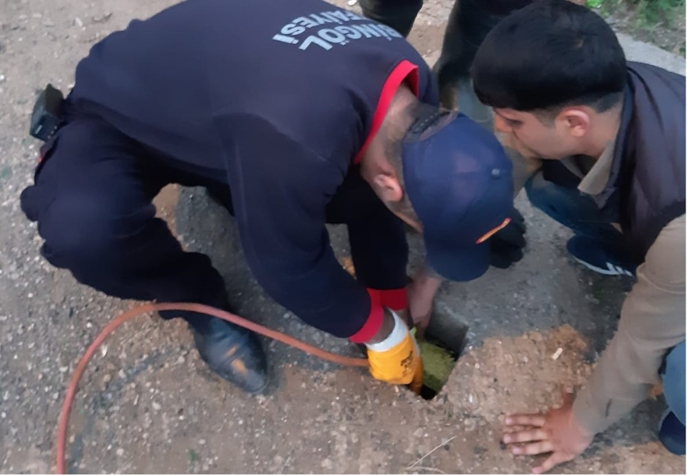 Su kuyusuna düşen yavru köpek kurtarıldı 