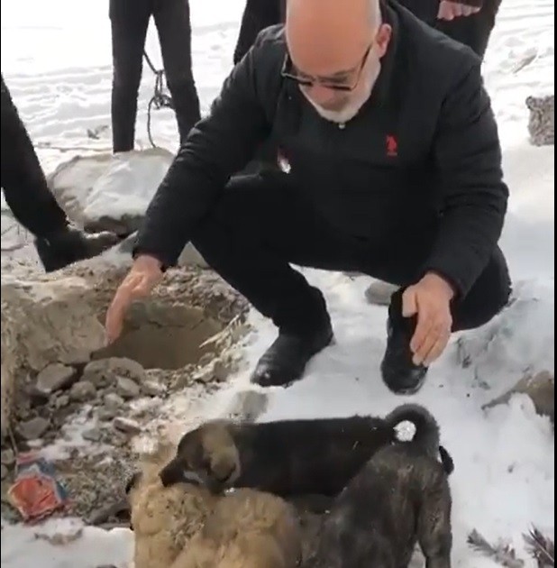 Su kuyusuna düşen yavru köpekleri itfaiye ekibi kurtardı 