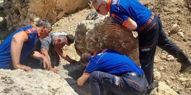 Su kuyusunda mahsur kalan tilki kurtarıldı