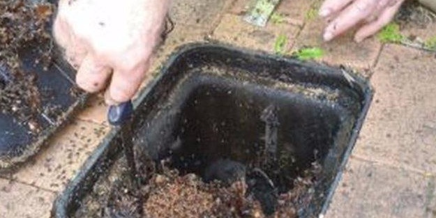 Su sayacını açtıklarında şok oldular!