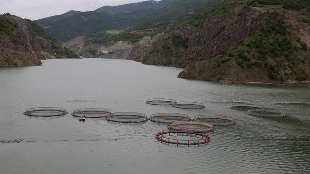 Su ürünleri ihracatının gözdesi 'kafes balıkçılığı'