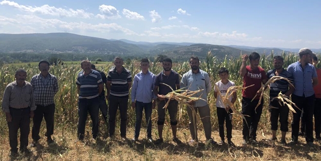 Su verilmeyince yüzlerce dönüm mahsul kurudu! Çiftçiler mağdur oldu