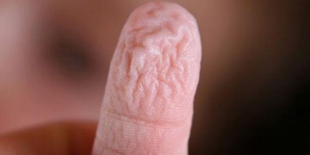 Su, ellerimizi neden buruşturur?