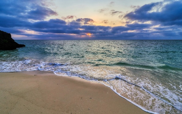 Sualtı biyolojik çeşitliliği tehlikede! Her yıl 6 milyar kum çekiliyor