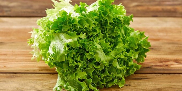 Şubatta rekortmen kıvırcık salata