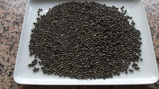 Suda bekletip içen tığ gibi oluyor! Bamya tohumu: Yağı eritiyor bağırsakları da hızlı çalıştırıyor! Bunu yapın