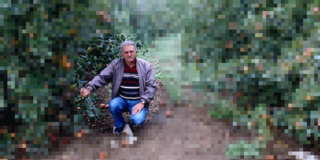 Sudan ucuz ama alan yok, 1 hafta içinde…