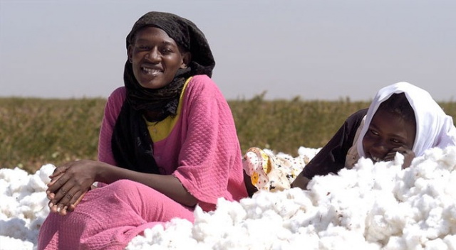 Sudan’da pamuk ve soya ekeceğiz