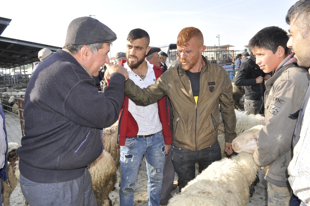 Şuhut Canlı Hayvan Pazarında küçükbaş alım satımlarında durgunluk 