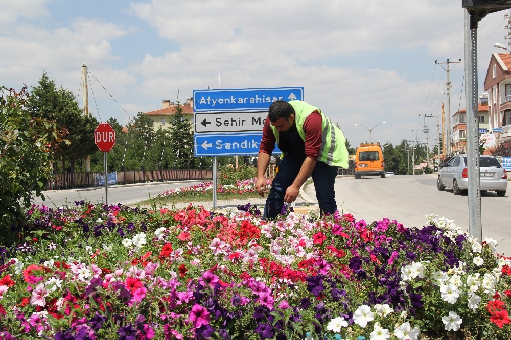 Şuhut’ta çiçekler açıyor 