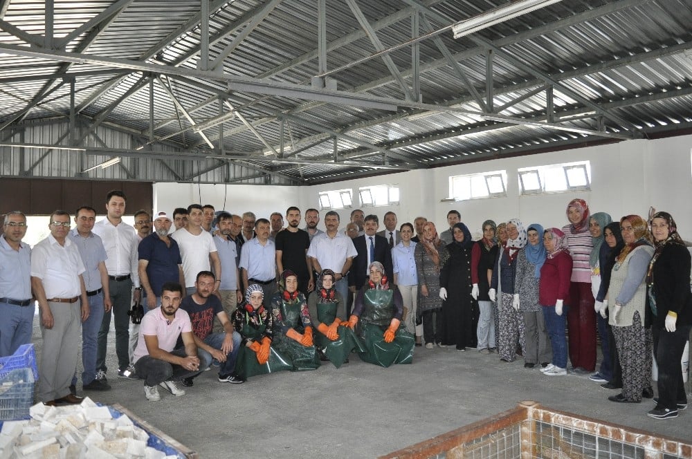 Şuhut’ta mermer süsleme sanatı fabrikası dualarla açıldı 