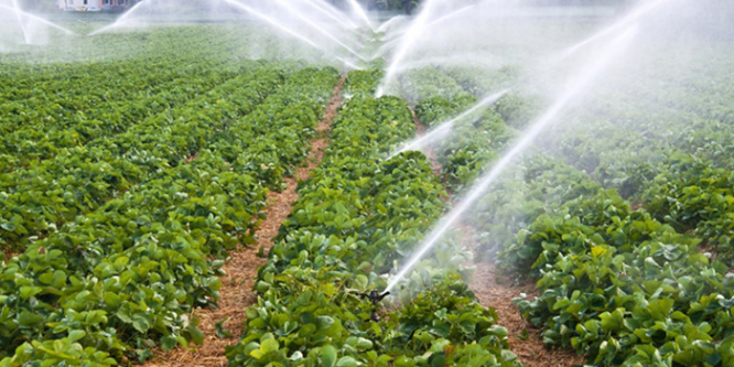 Basınçlı sulama sistemlerine hibe desteği