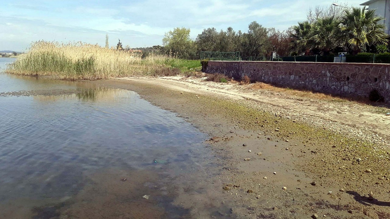 Sular çekildi, endişe yükseldi! Ayvalık sahilinde sıradışı manzara