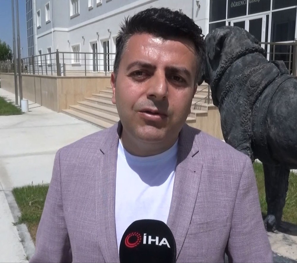 Sular çekiliyor, besin azalıyor, flamingolar ölüyor 