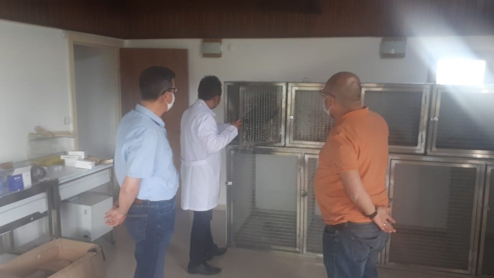 Sultan Sazlığı Milli Parkı Rehabilitasyon Merkezi yaralanan kuşların imdadına yetişecek 