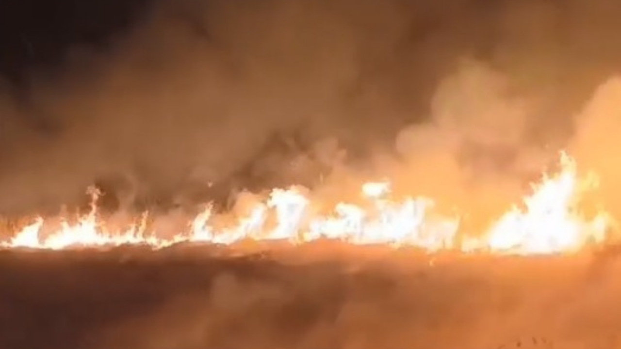 Sultan Sazlığı Milli Parkı'nda korkutan yangın