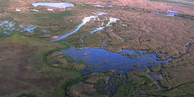 Sultan Sazlığı'na göçmen kuşlar için su takviyesi