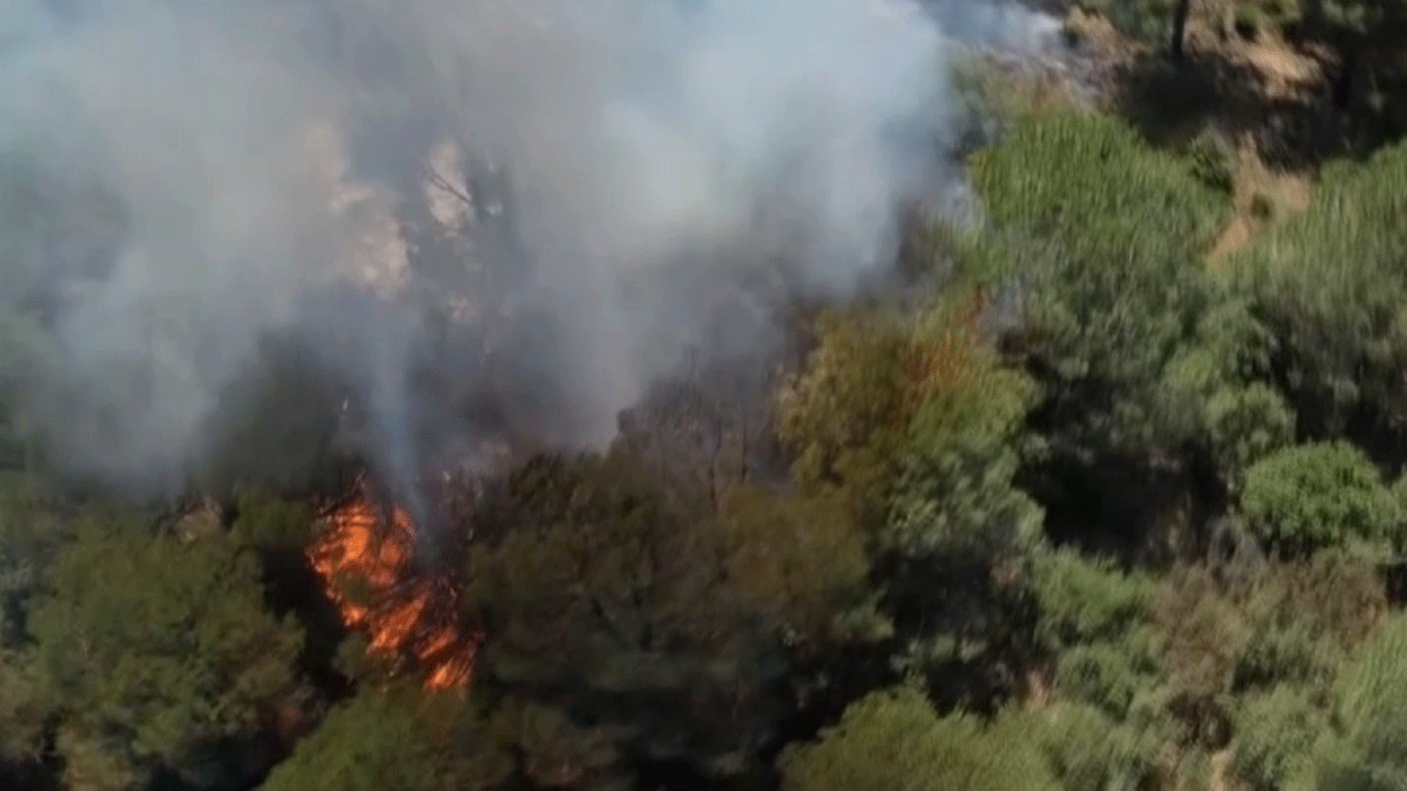 Sultangazi Kent Ormanı alev alev! İtfaiye ekipleri müdahalede