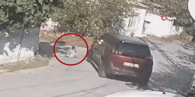 Sultangazi'de korkunç kaza: Kediyi seven çocuğu ezerek öldürdü