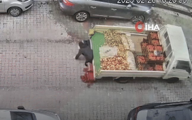 Sultangazi'de korkutan kaza : Sebze satarken babasının kullandığı kamyonetin altında kaldı!