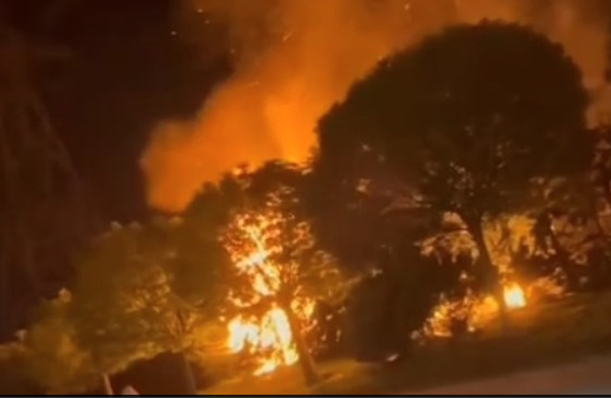 Sultangazi’de orman yangını korkuttu