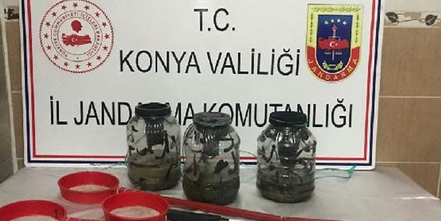 Sülük avcılarına tarihi ceza