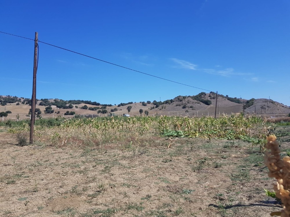 Sungurlu’da telefon kablolarını çaldılar 
