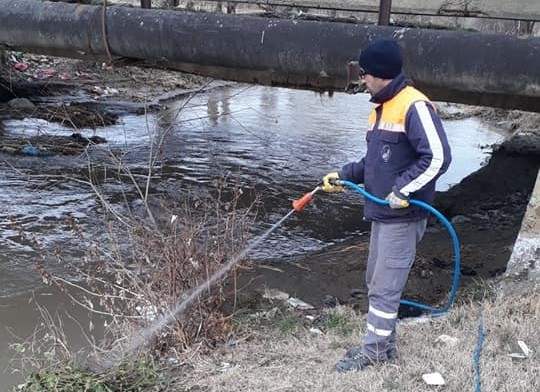 Sungurlu’da uçkunla mücadele çalışmaları start aldı 