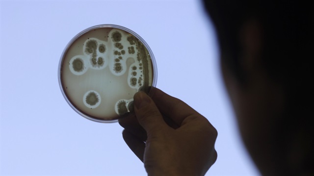 Süper bakteri sorununa çözüm aranıyor