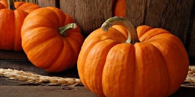 Bal kabağının faydaları nelerdir?