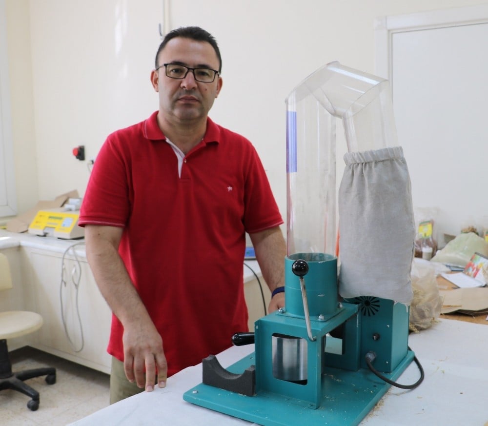 Süper buğdaylar elle tek tek hasat edildi 