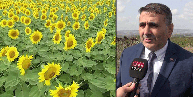 Süper el nino başlayacak... Dünya gıda krizi yaşanabilir