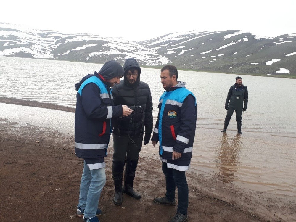 Süphan Gölü’nde balık ölümleri 