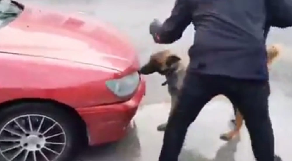 Şüphe üzerine durduruldu, uyuşturucu hap bulundu 